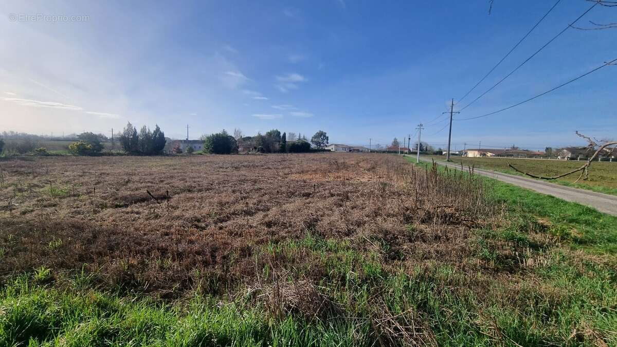 Terrain à MAZERES