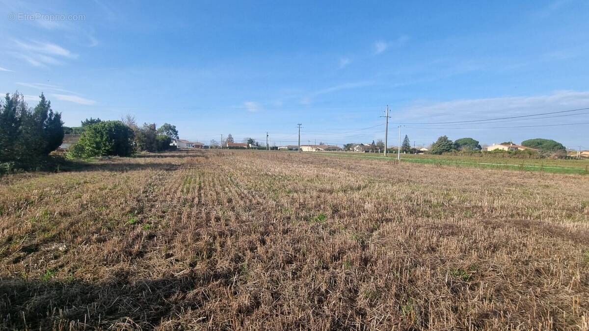 Terrain à MAZERES