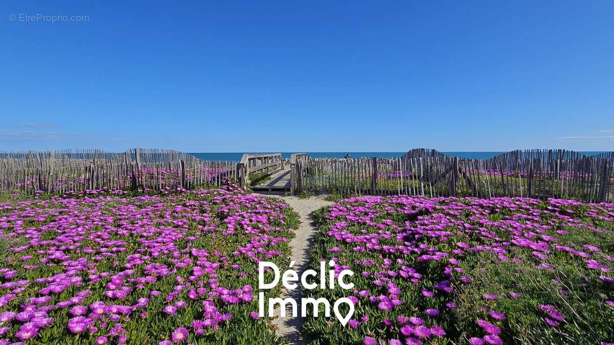 Appartement à FRONTIGNAN