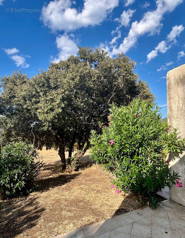 Appartement à LUMIO