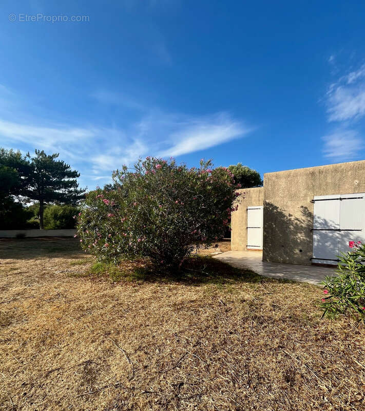 Appartement à LUMIO