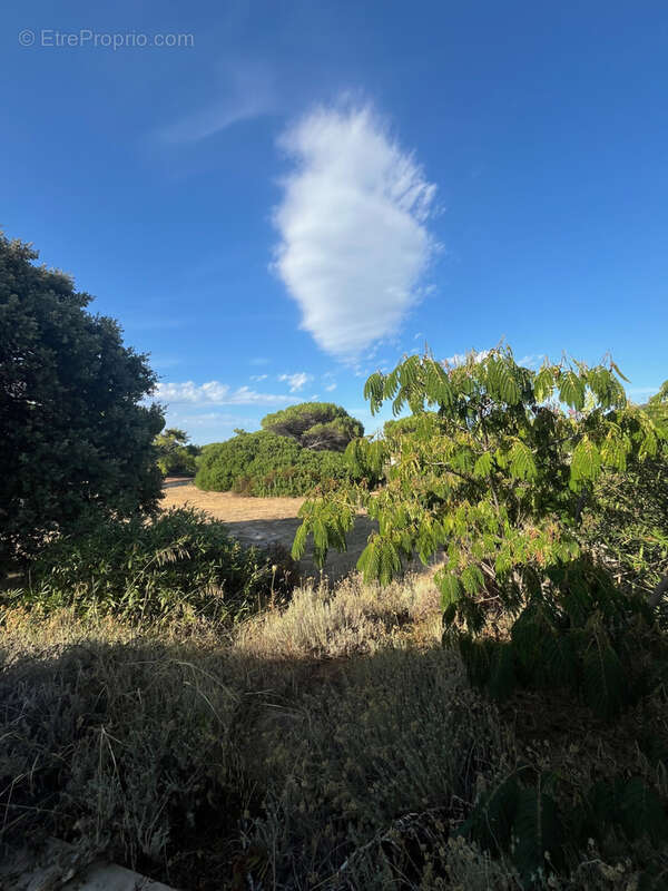 Appartement à LUMIO