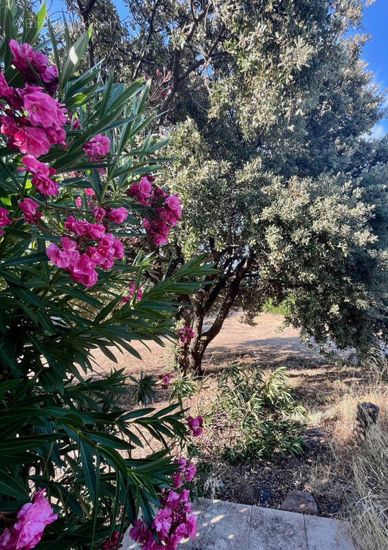 Appartement à LUMIO