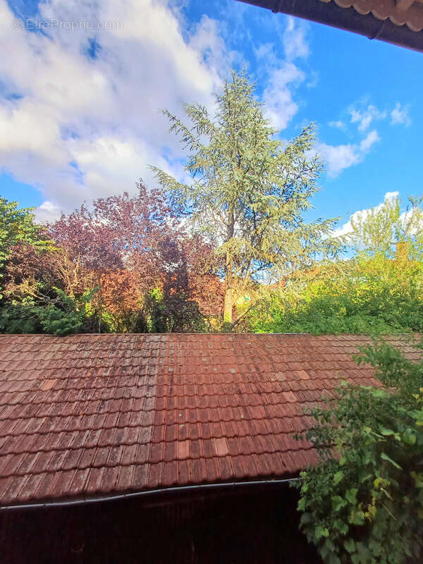 Appartement à BELFORT