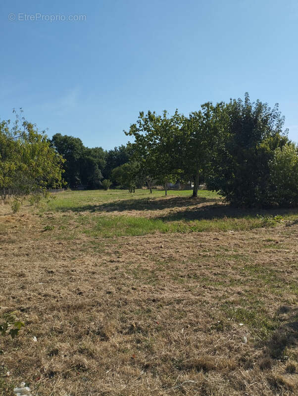 Maison à SAINT-SEURIN-SUR-L&#039;ISLE