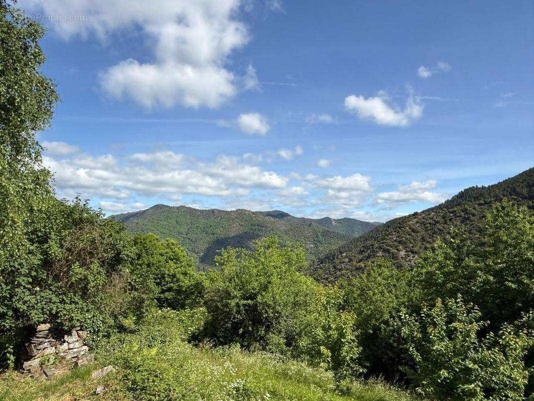 Maison à MALONS-ET-ELZE