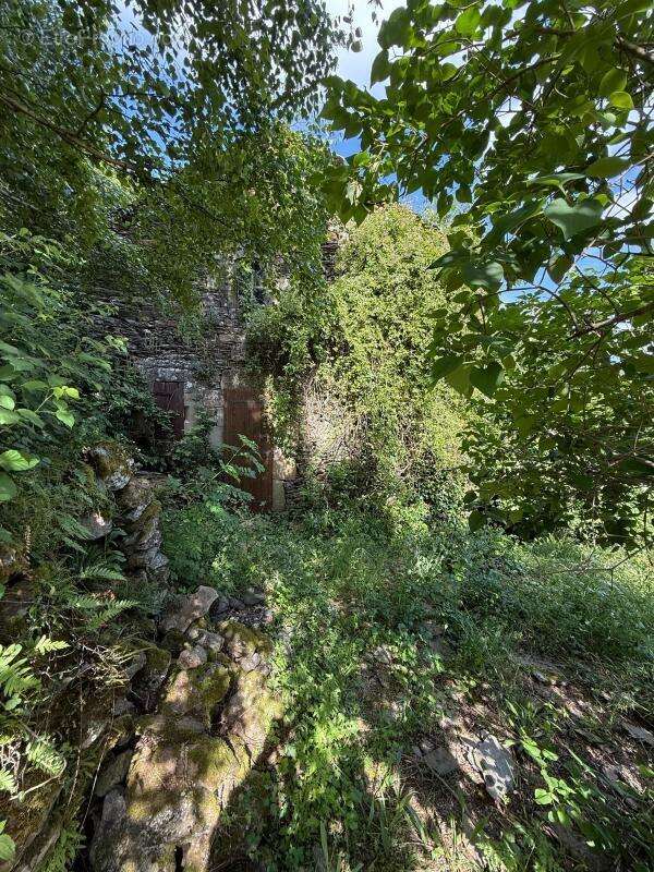 Maison à MALONS-ET-ELZE