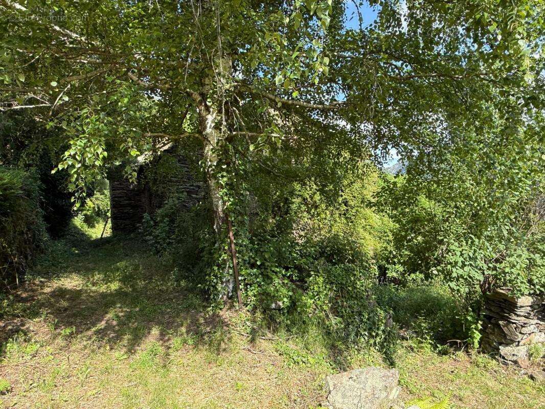 Maison à MALONS-ET-ELZE