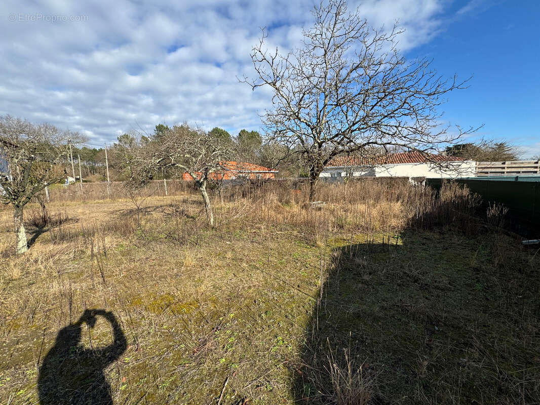 Terrain à SAINT-PAUL-LES-DAX