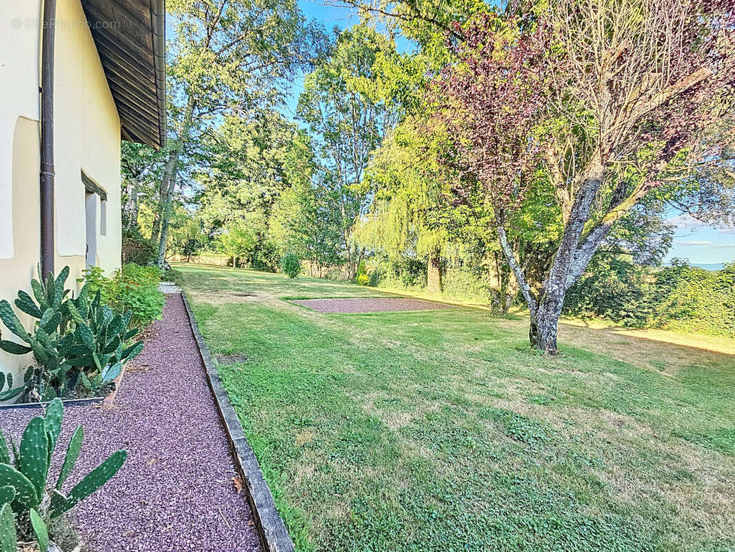 Maison à MONTREVEL-EN-BRESSE