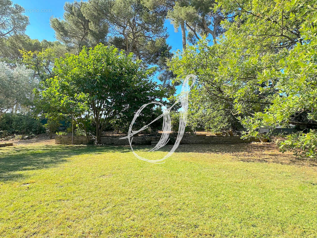 Terrain à SAINT-GEORGES-D&#039;ORQUES