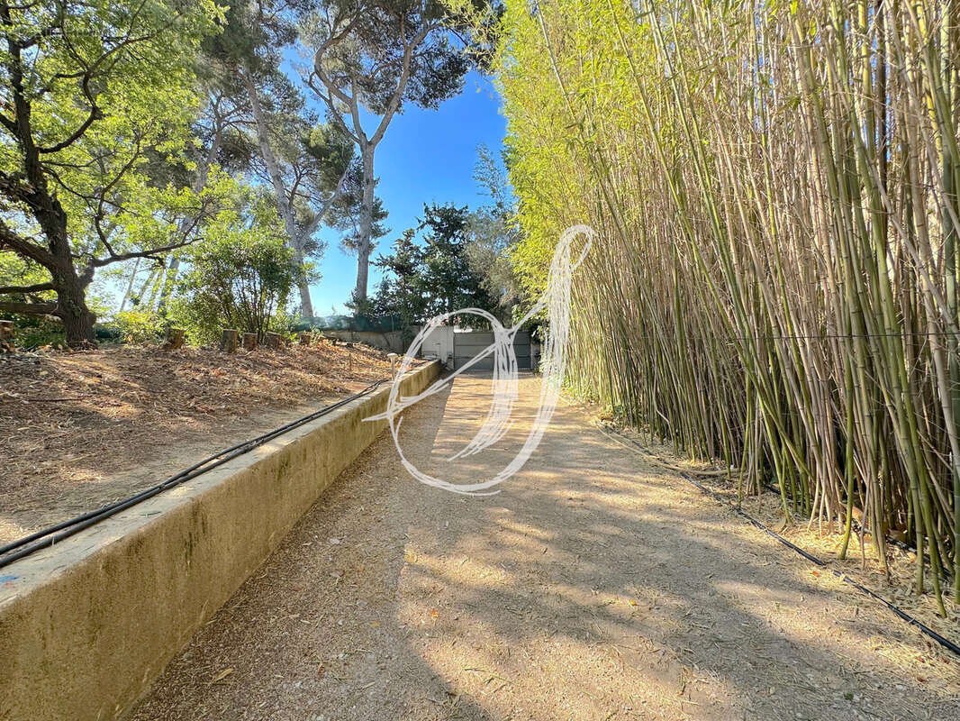 Terrain à SAINT-GEORGES-D&#039;ORQUES