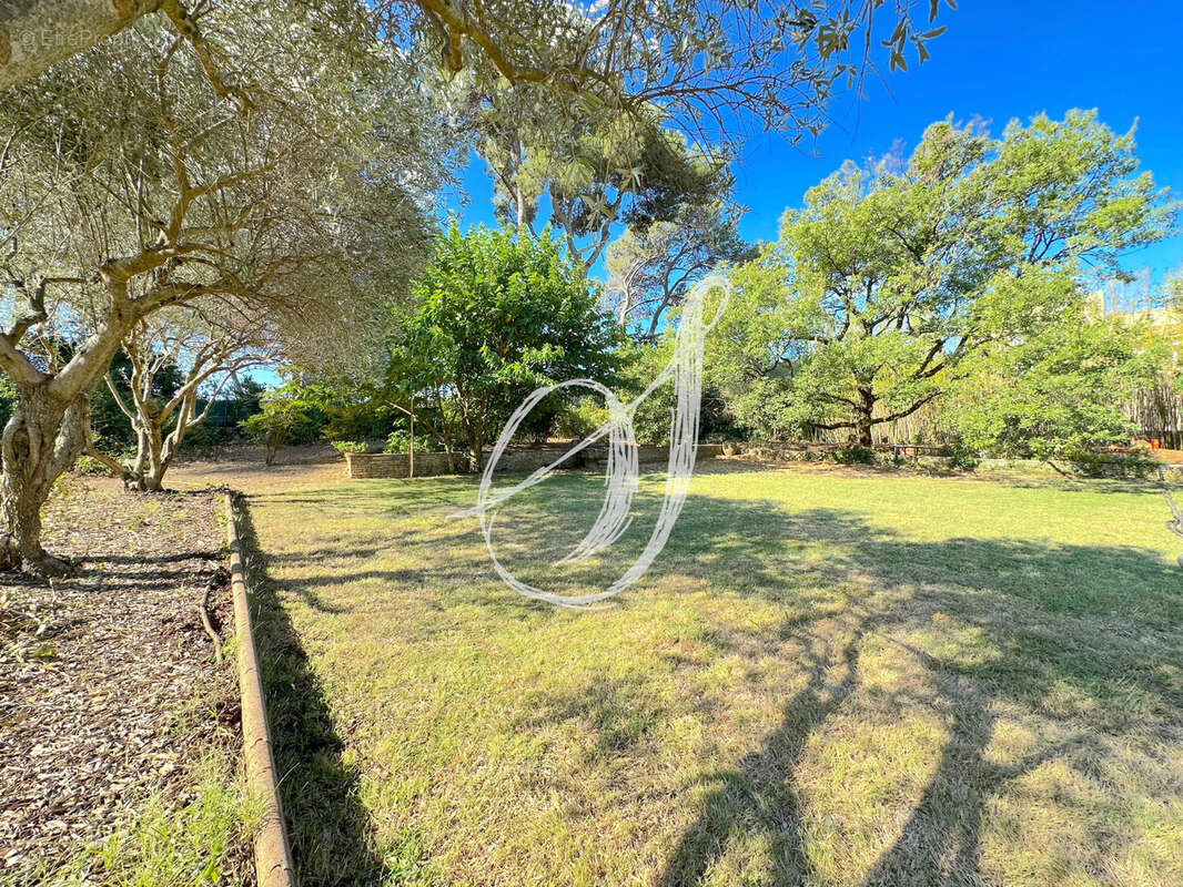 Terrain à SAINT-GEORGES-D&#039;ORQUES