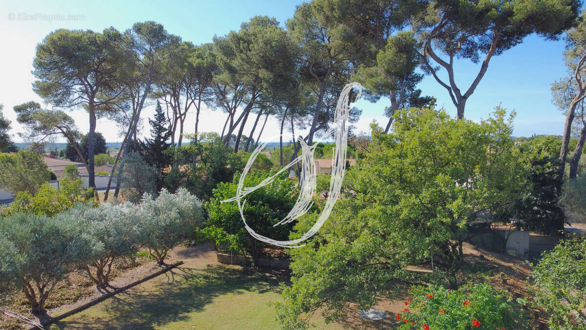 Terrain à SAINT-GEORGES-D&#039;ORQUES