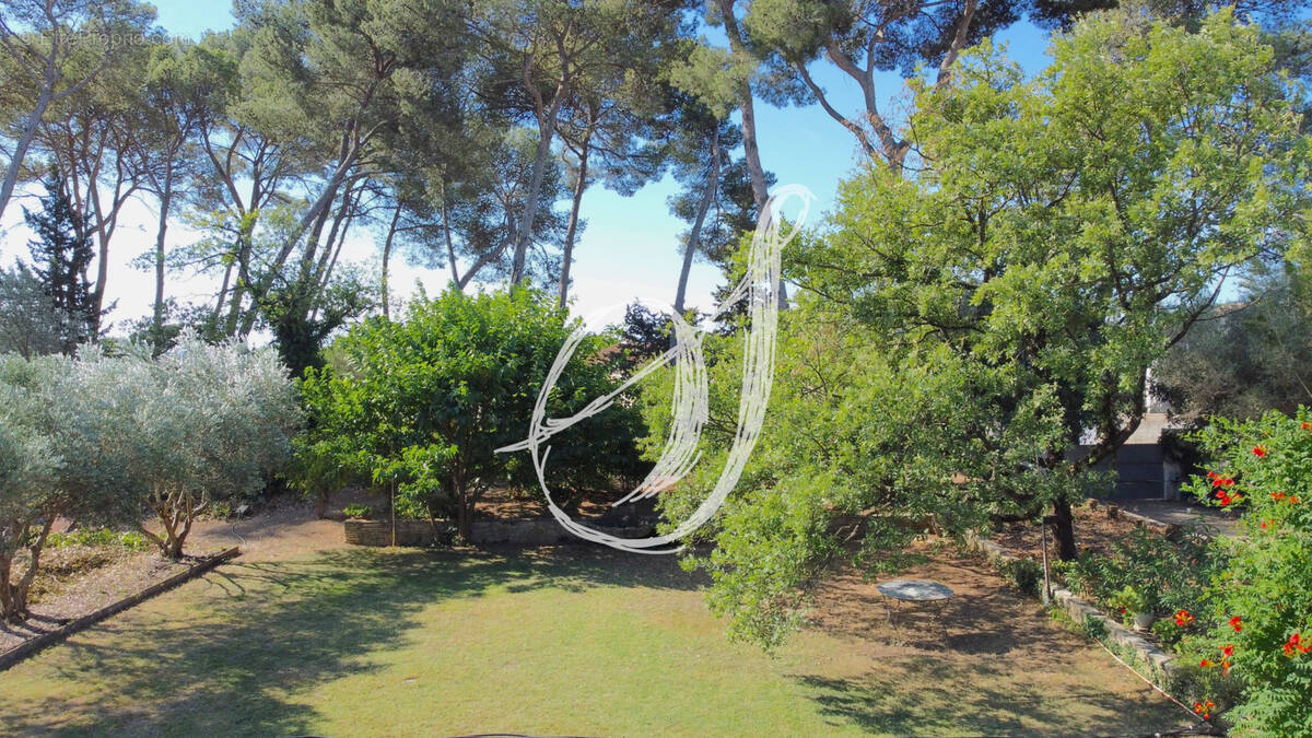 Terrain à SAINT-GEORGES-D&#039;ORQUES