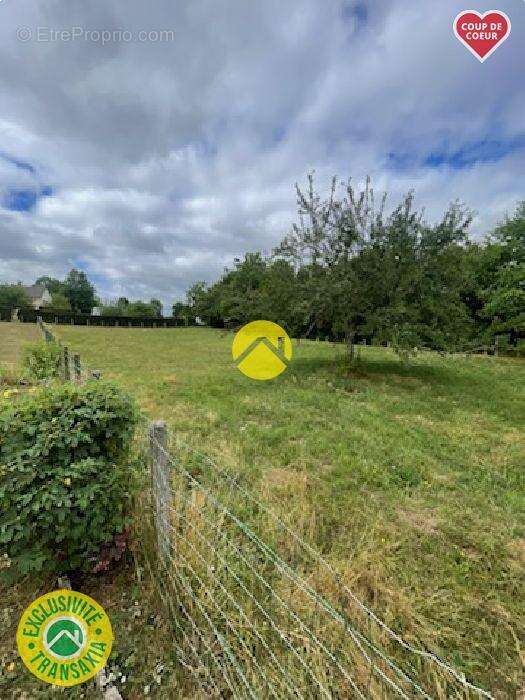 Terrain à PIERREFORT