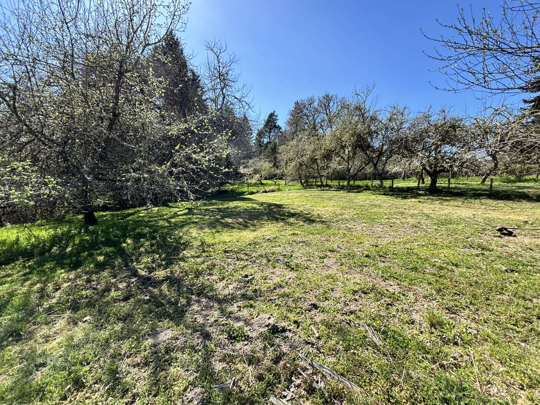 Maison à SOUDEILLES