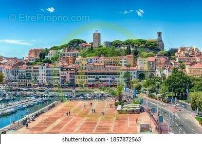 Commerce à CANNES