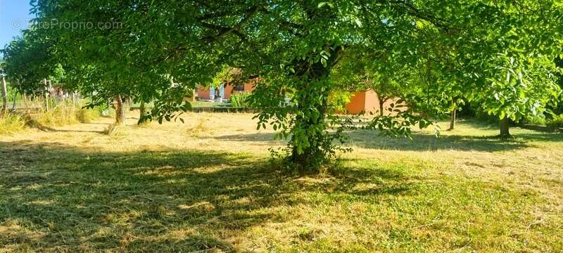 Terrain à VERTAIZON