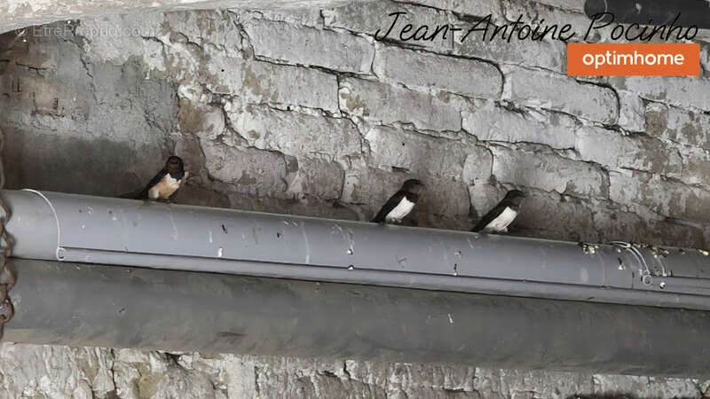 Maison à SAINTE-FOY-DE-PEYROLIERES