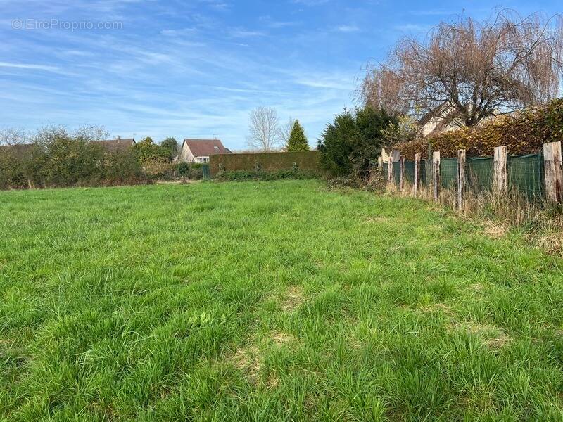 Terrain à BREUIL-LE-VERT