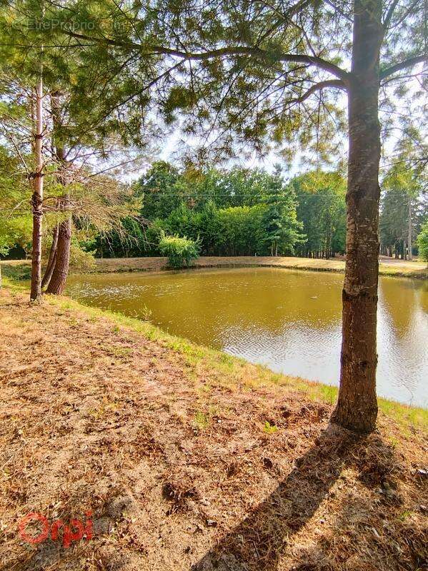 Maison à ROMORANTIN-LANTHENAY
