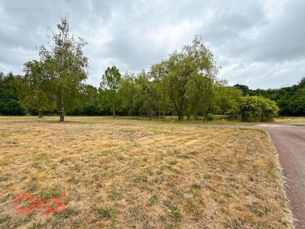 Maison à ROMORANTIN-LANTHENAY