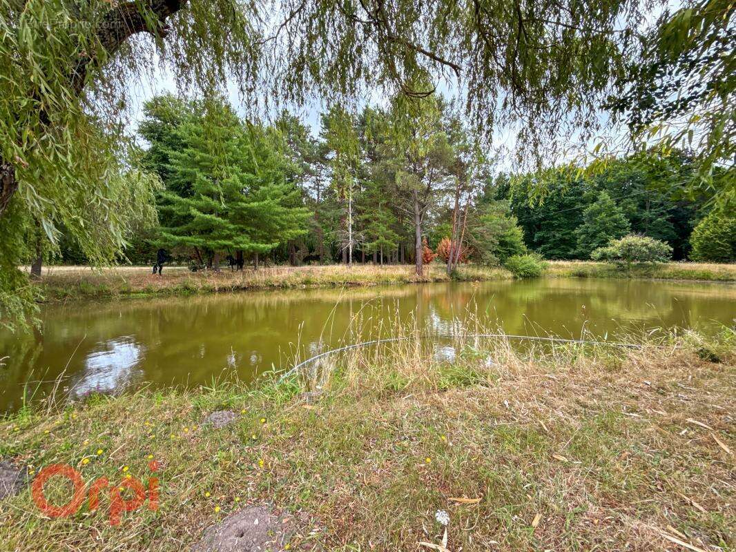 Maison à ROMORANTIN-LANTHENAY