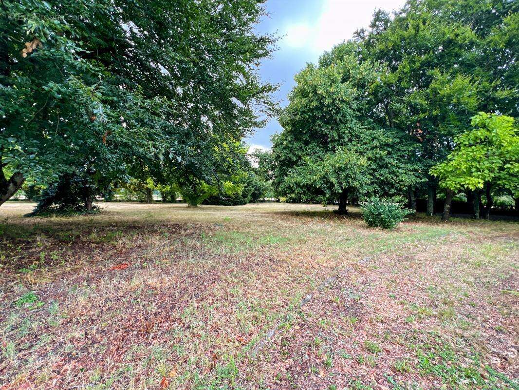 Maison à LAILLY-EN-VAL