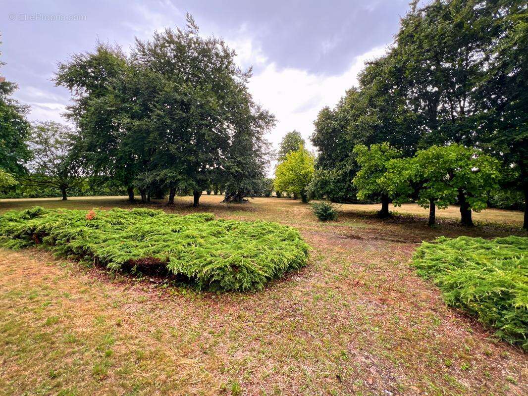 Maison à LAILLY-EN-VAL