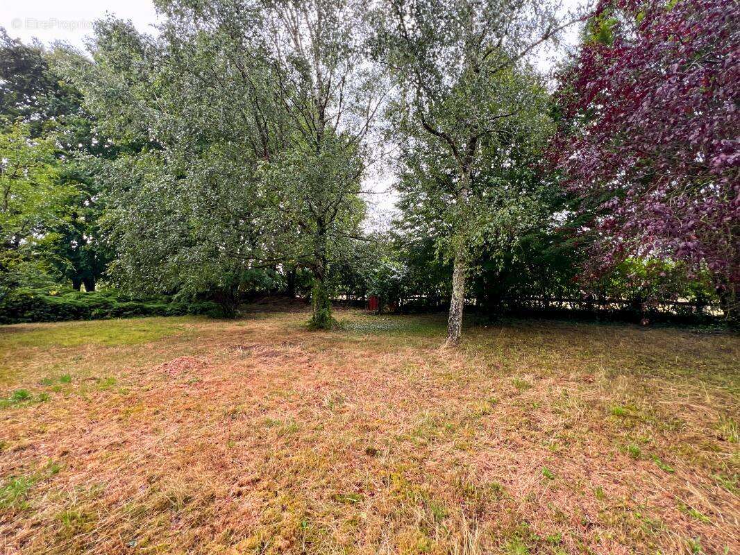 Terrain à LAILLY-EN-VAL