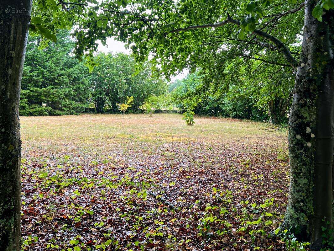Terrain à LAILLY-EN-VAL