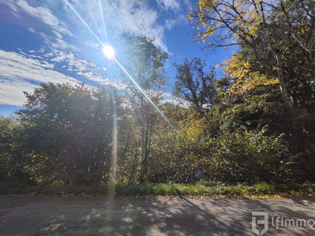 Terrain à BOURBACH-LE-HAUT