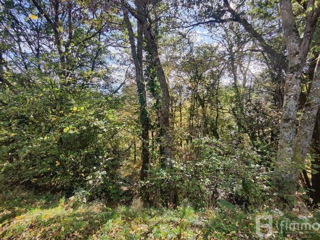 Terrain à BOURBACH-LE-HAUT