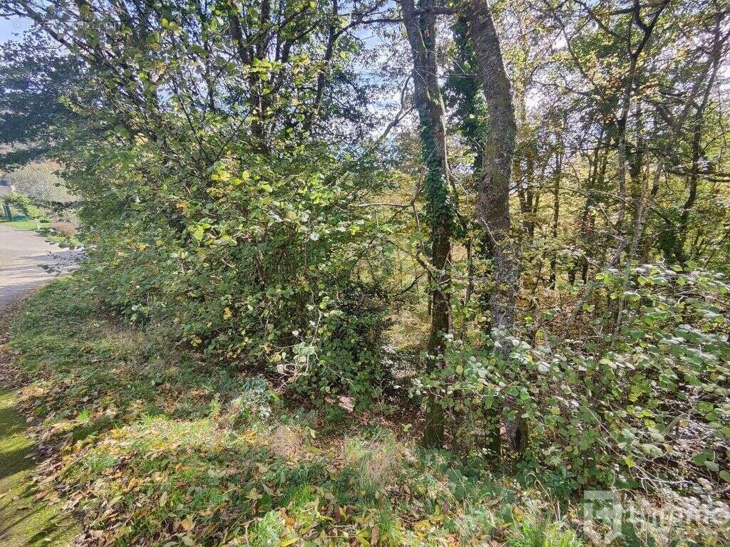 Terrain à BOURBACH-LE-HAUT