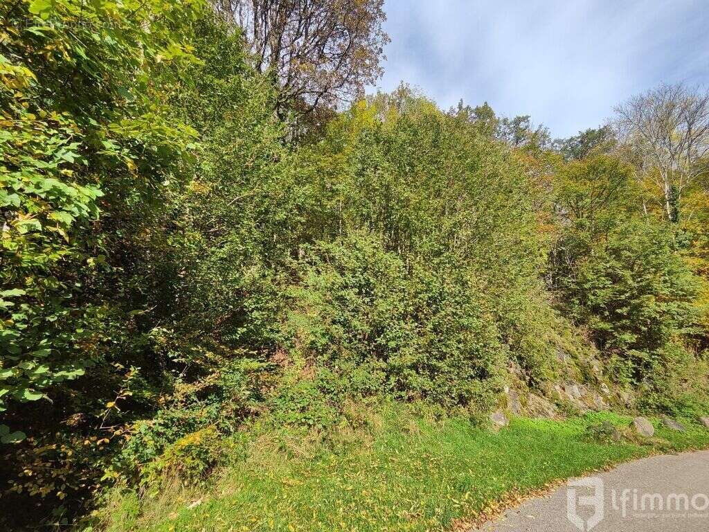 Terrain à BOURBACH-LE-HAUT