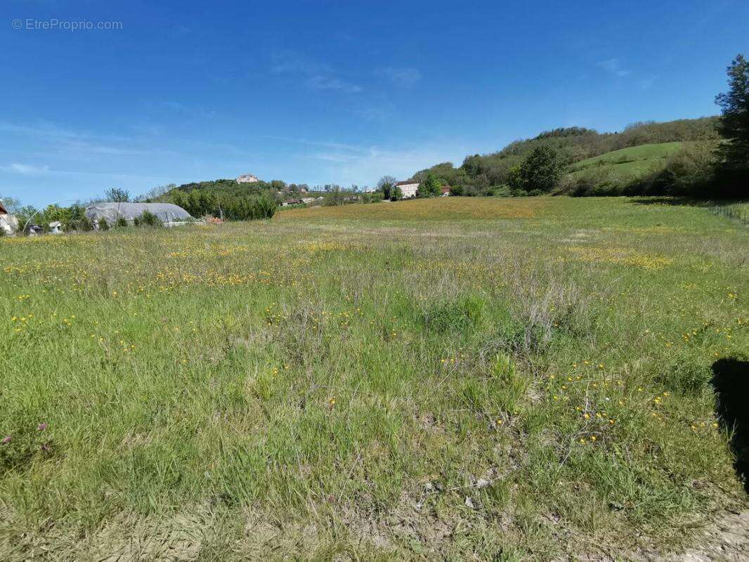 Terrain à DAUSSE