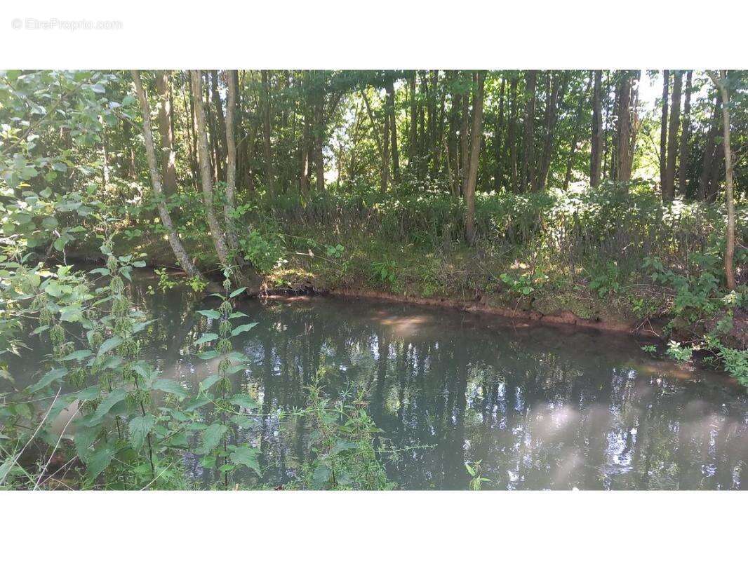 Maison à CONCHY-SUR-CANCHE