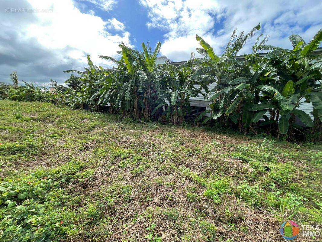 Terrain à SAINT-BENOIT