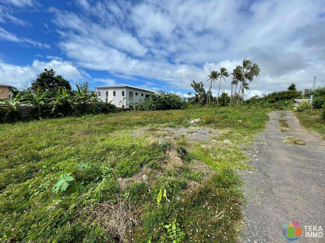 Terrain à SAINT-BENOIT