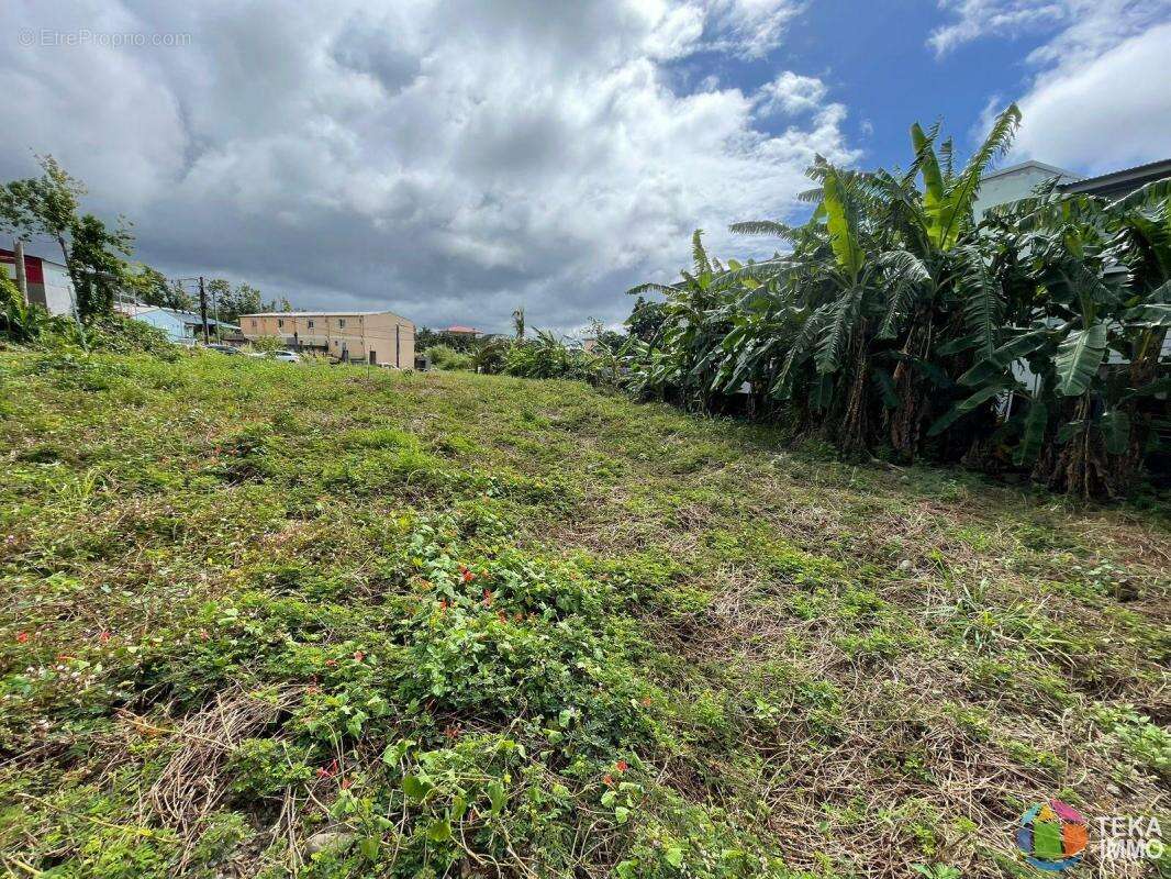 Terrain à SAINT-BENOIT