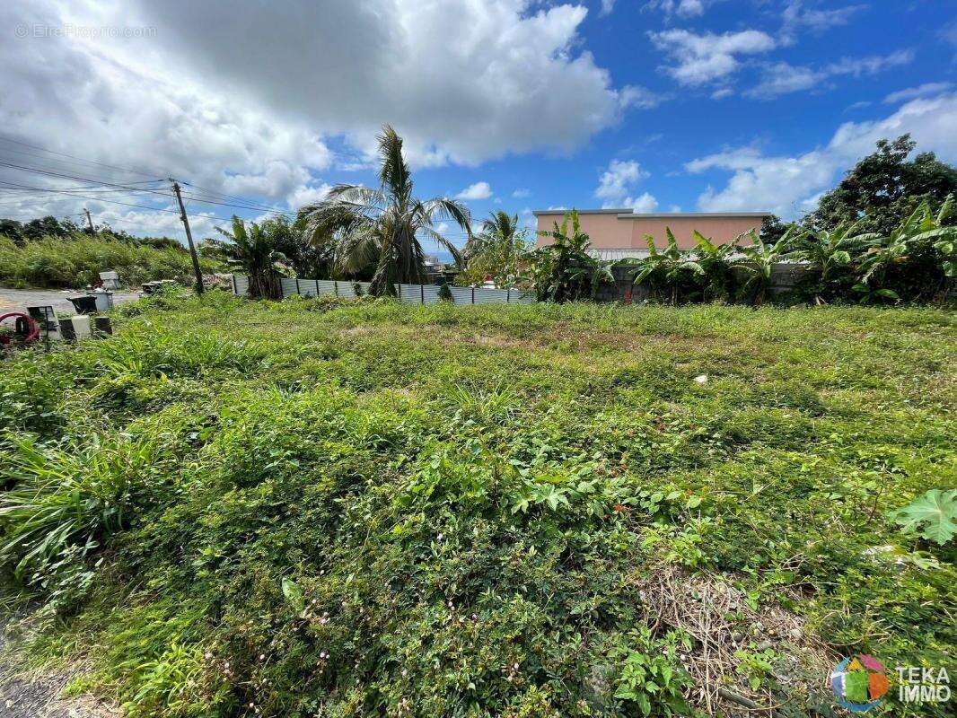 Terrain à SAINT-BENOIT