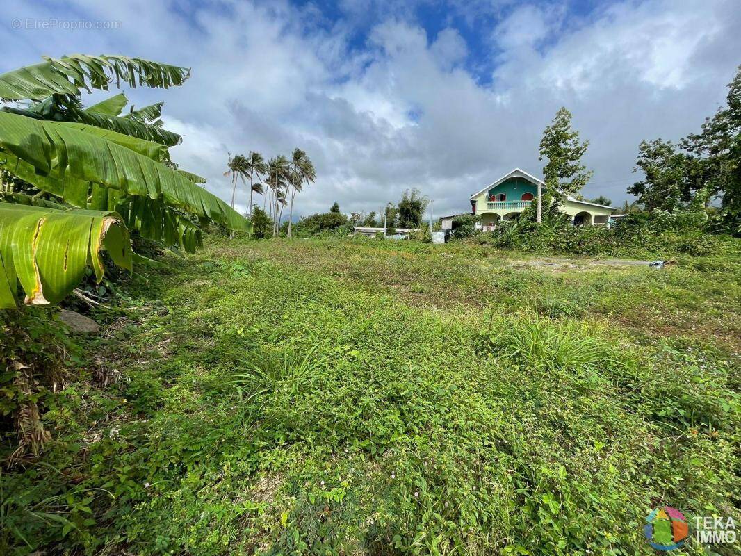 Terrain à SAINT-BENOIT