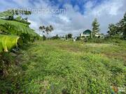 Terrain à SAINT-BENOIT