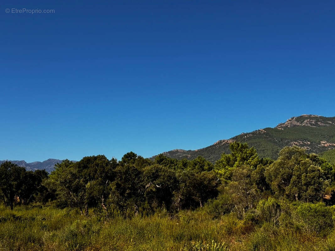 Maison à SAN-GAVINO-DI-CARBINI