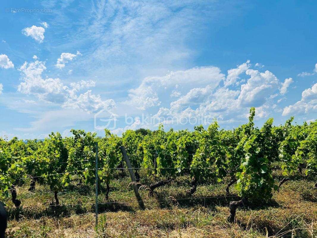 Maison à LE BOIS-D&#039;OINGT