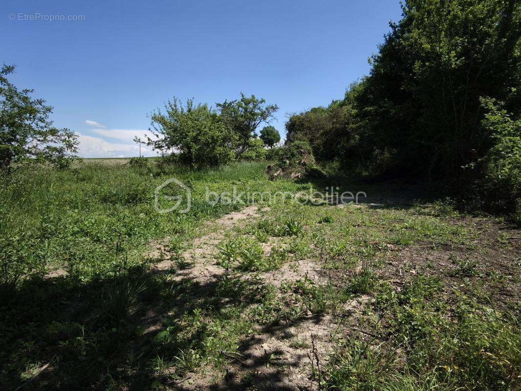 Appartement à VAILLY-SUR-SAULDRE