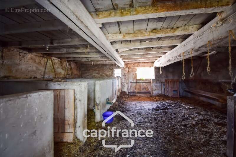 Maison à SAINT-GERMAIN-DU-BOIS