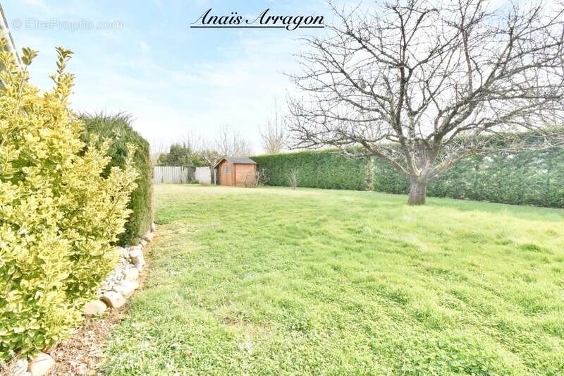 Maison à SAINTE-LIVRADE-SUR-LOT