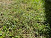 Terrain à NOGENT-SUR-VERNISSON